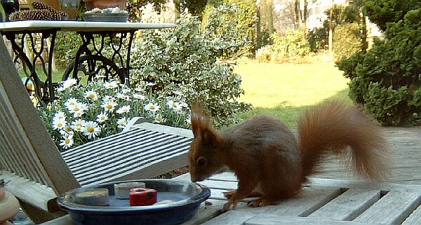 Bilder vom Nachwuchs, Foto rdb, 4.4.2005